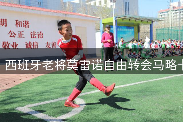 西班牙老将莫雷诺自由转会马略卡 签一年短约
